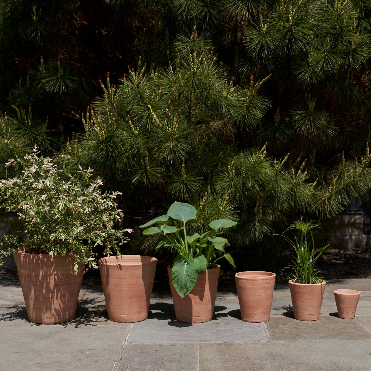 Whitewash Terracotta Studio Planter