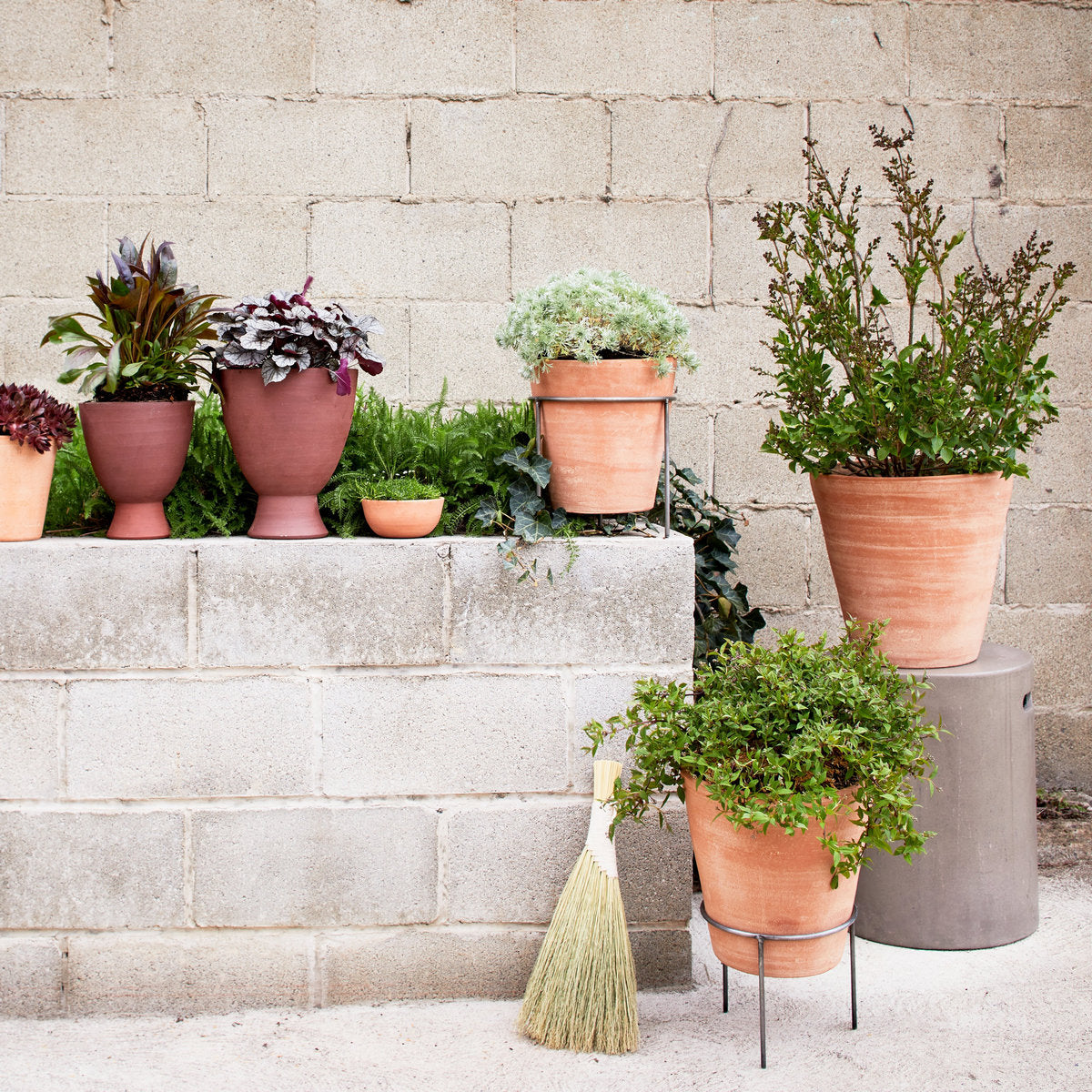 Whitewash Terracotta Studio Planter