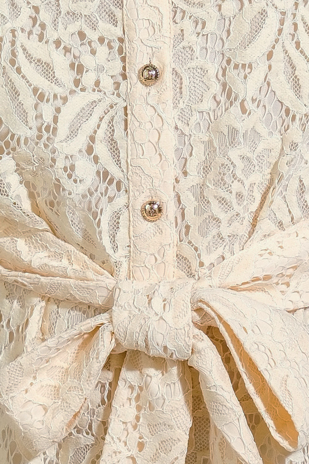 Adore You Lace Mini Dress