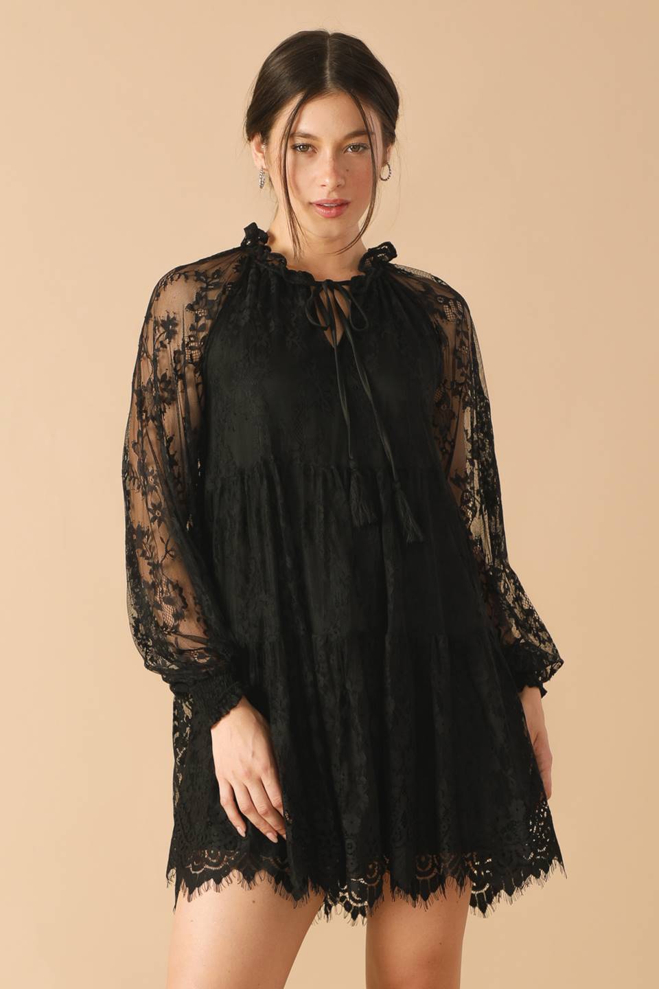 Woven Lace Mini Dress