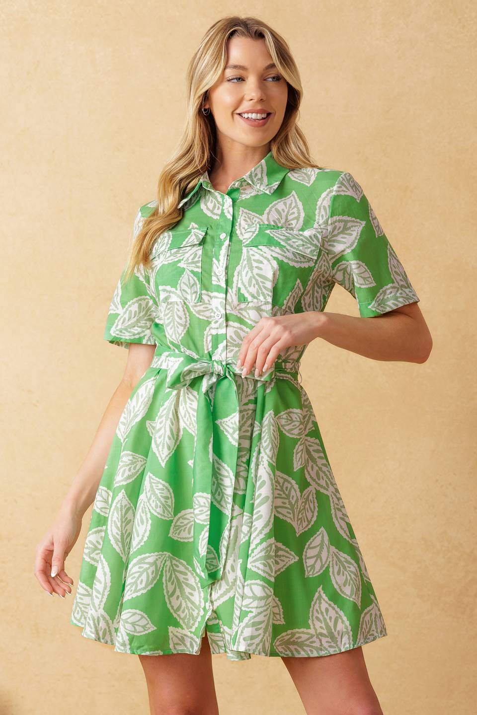 Mysteries of the Night Woven Mini Dress