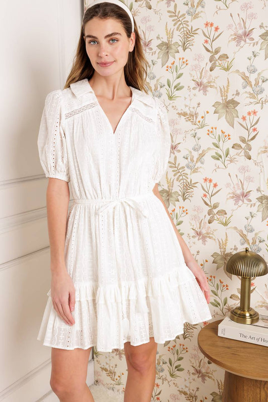 Starlight Soiree Woven Eyelet Mini Dress