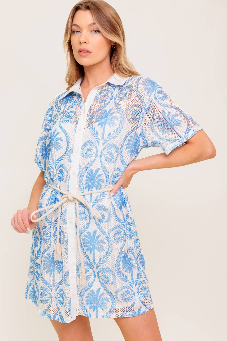 Gentle Spirit Woven Lace Mini Dress