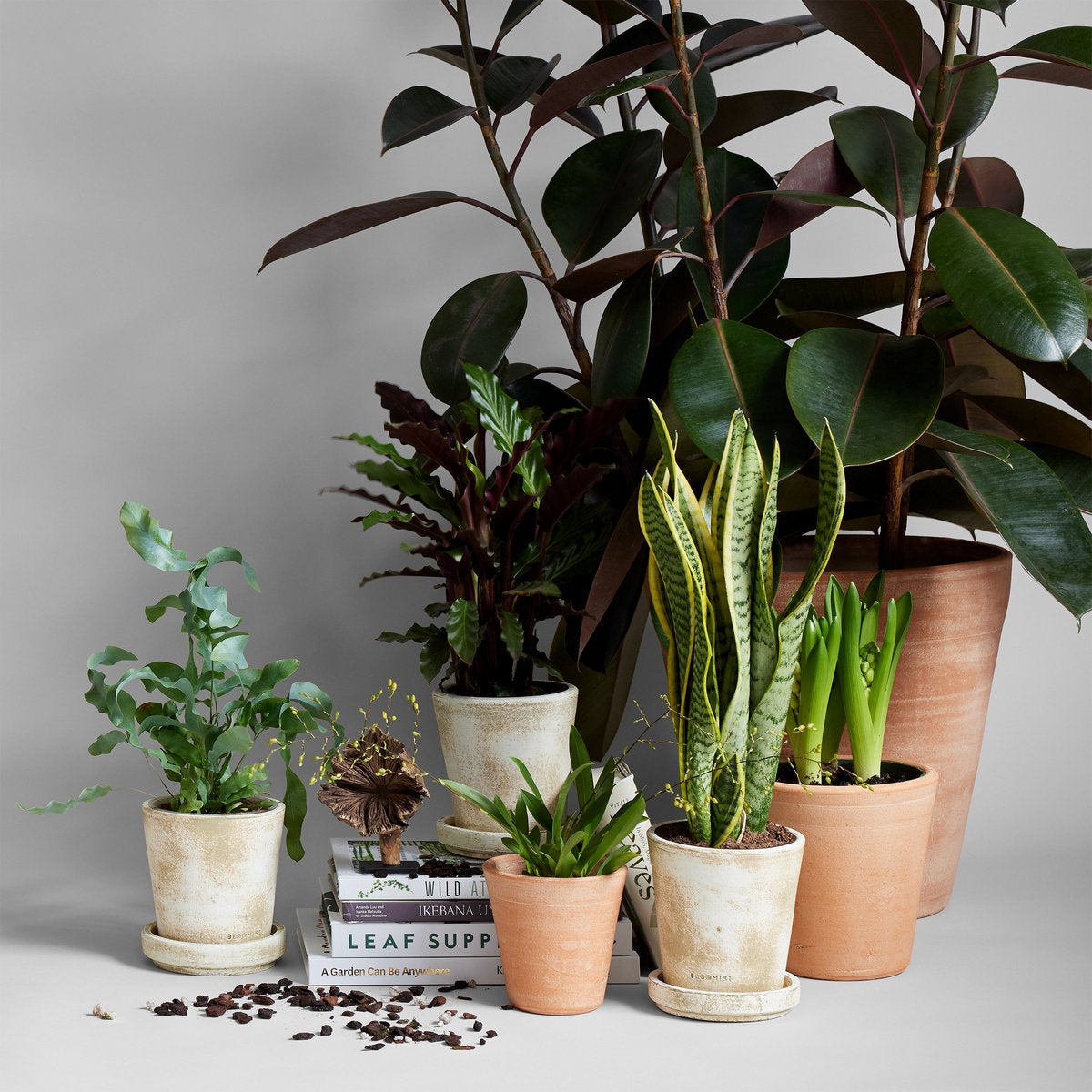 Whitewash Terracotta Studio Planter