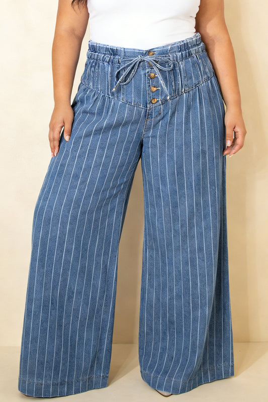 Sky Blue Stripe  Buttoned Loose Wide Leg Denim Pants
