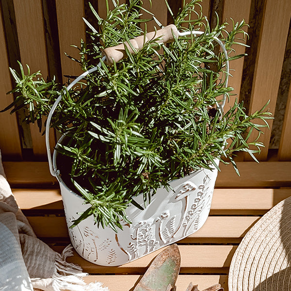 Rustic Mushroom Embossed Buckets