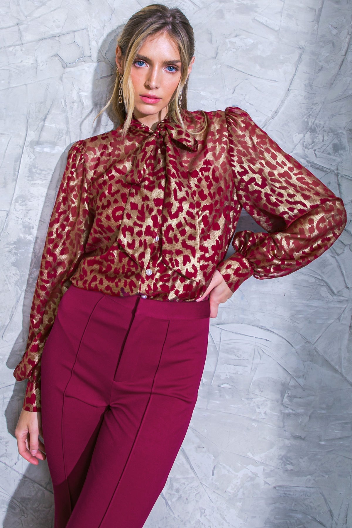 Beyond Compare Semi-sheer Top