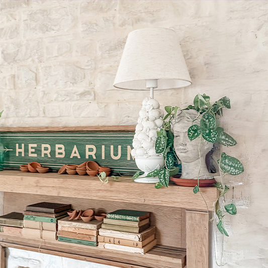 Fruit Bowl Cordless Lamp