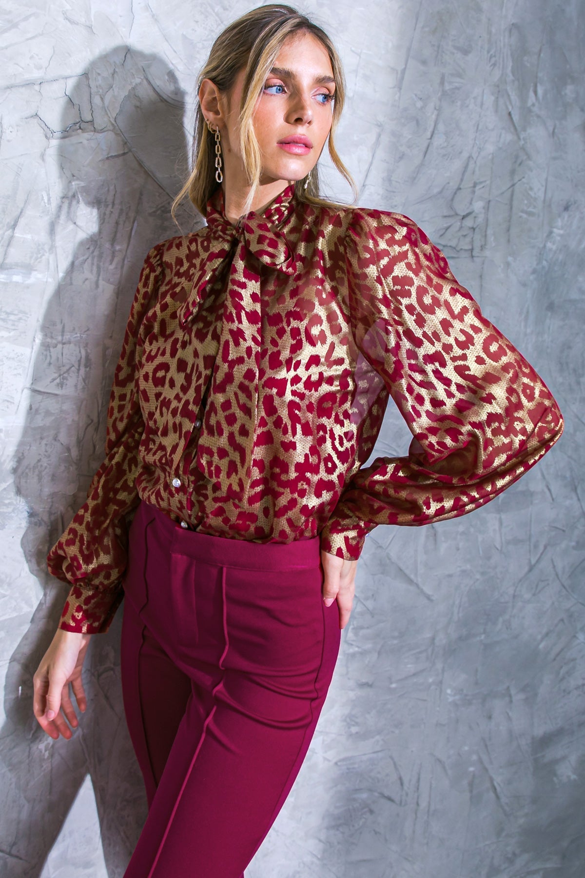 Beyond Compare Semi-sheer Top